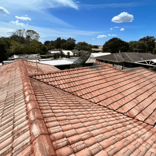 Weathered terracotta tiled roof in Hallam before preparation and painting